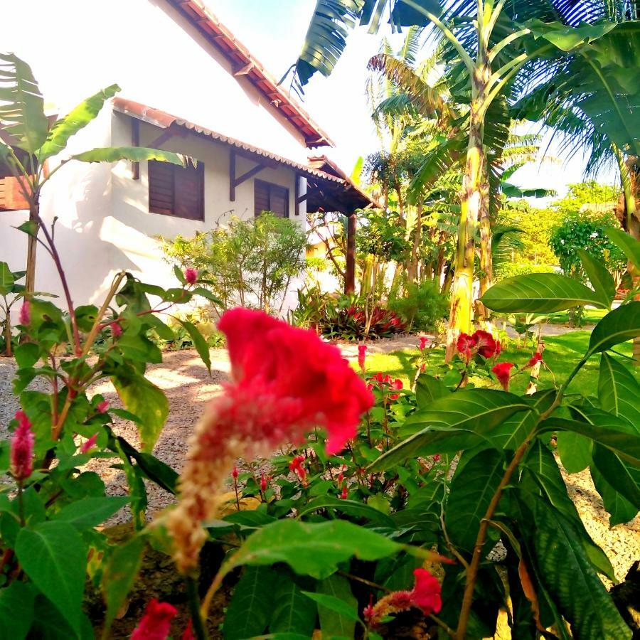 Tropicana Village Sao Miguel do Gostoso Luaran gambar